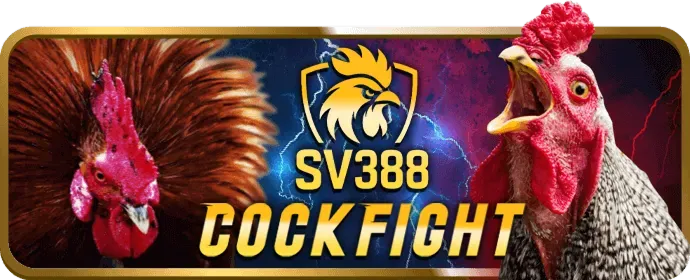 Hình ảnh bàn chơi casino với chip và bài